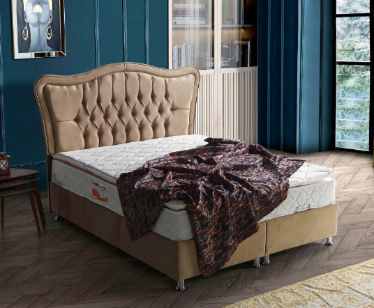 VENUS легло база